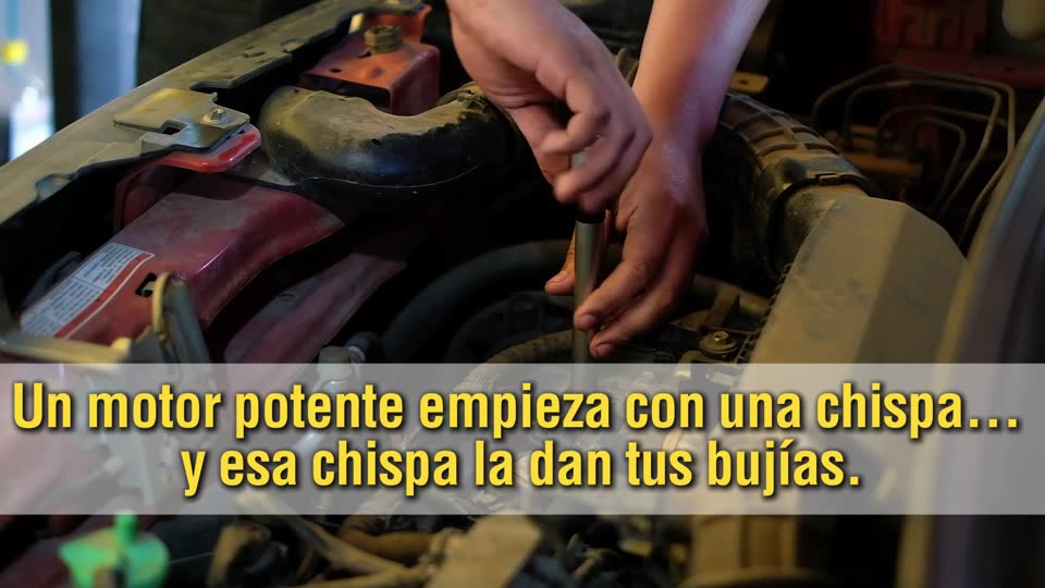 Suspensión